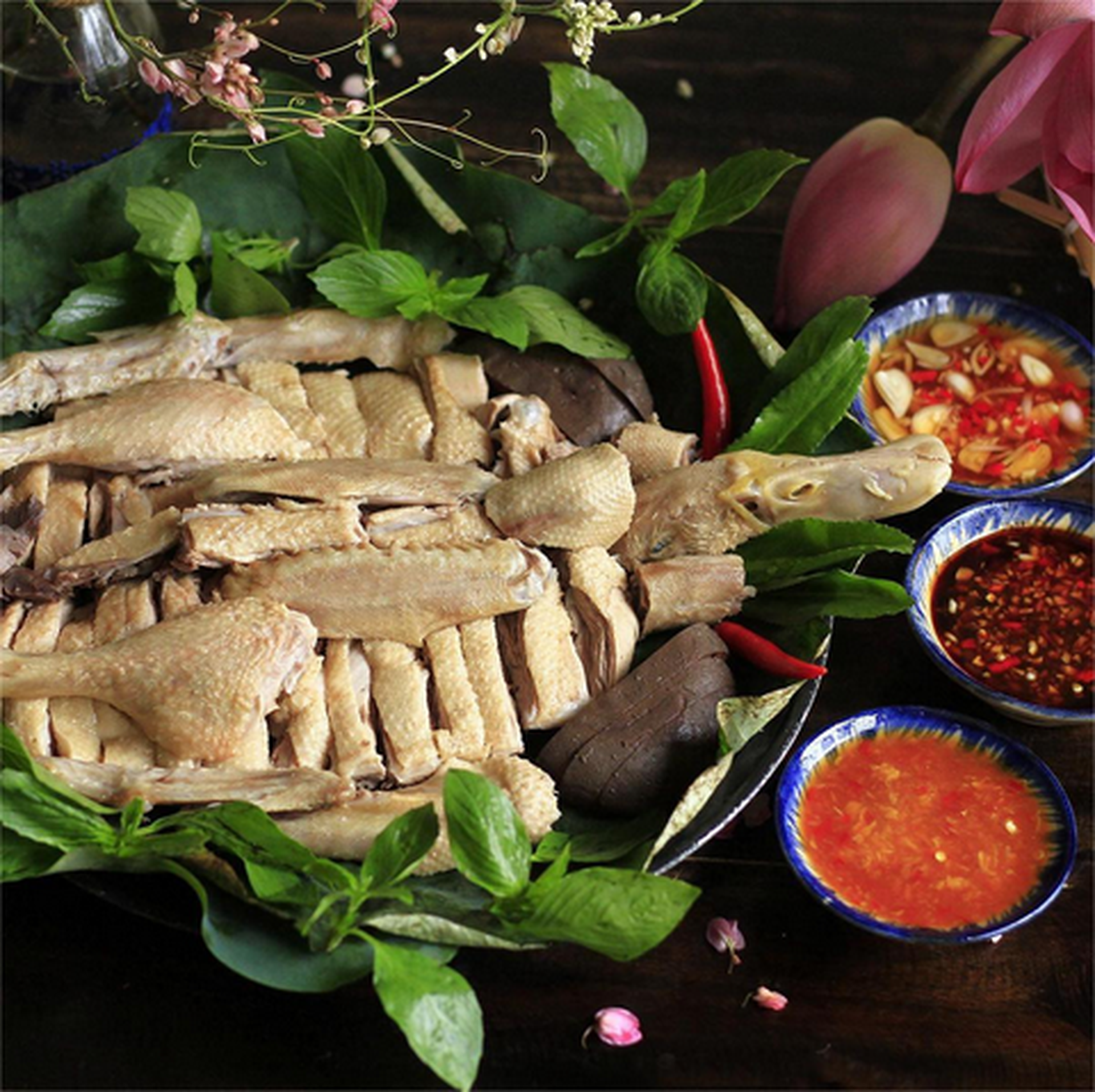 Hình ảnh Vịt Xiêm Hai Lúa - Mai Văn Vĩnh