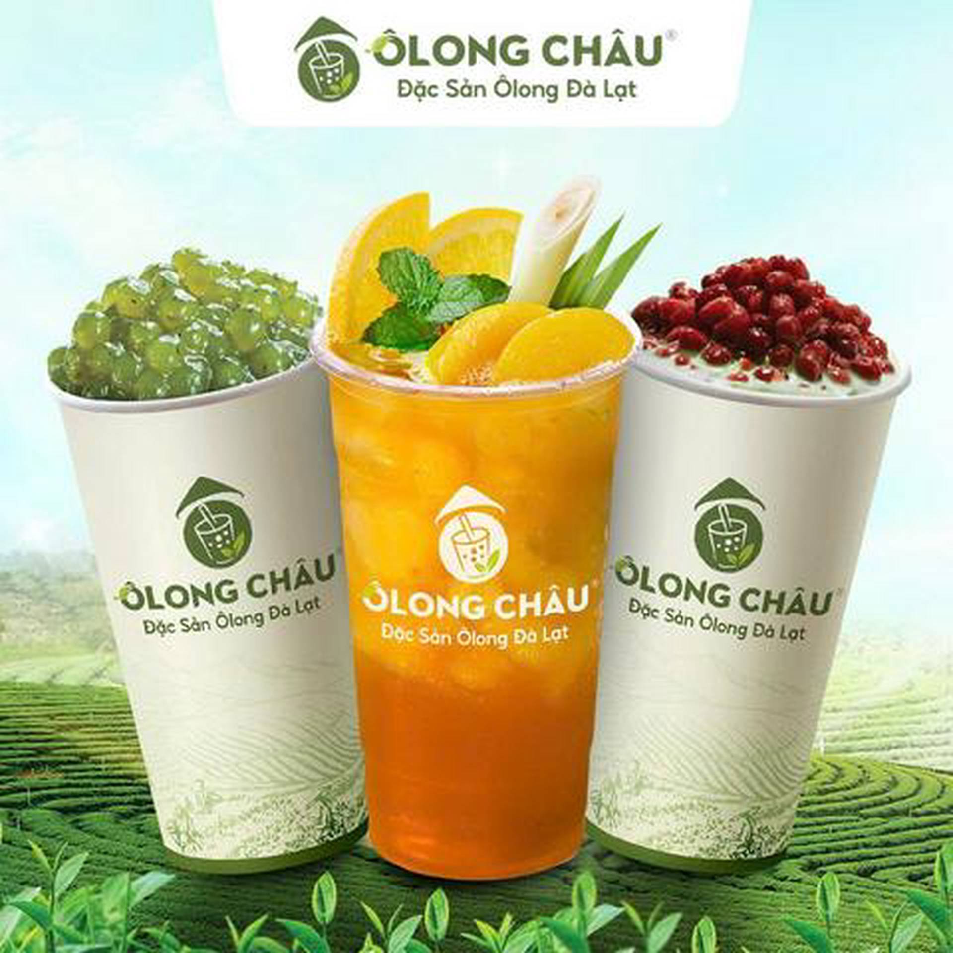 Hình ảnh Trà Sữa, Trà Trái Cây Ôlong Châu - Lê Văn Sỹ