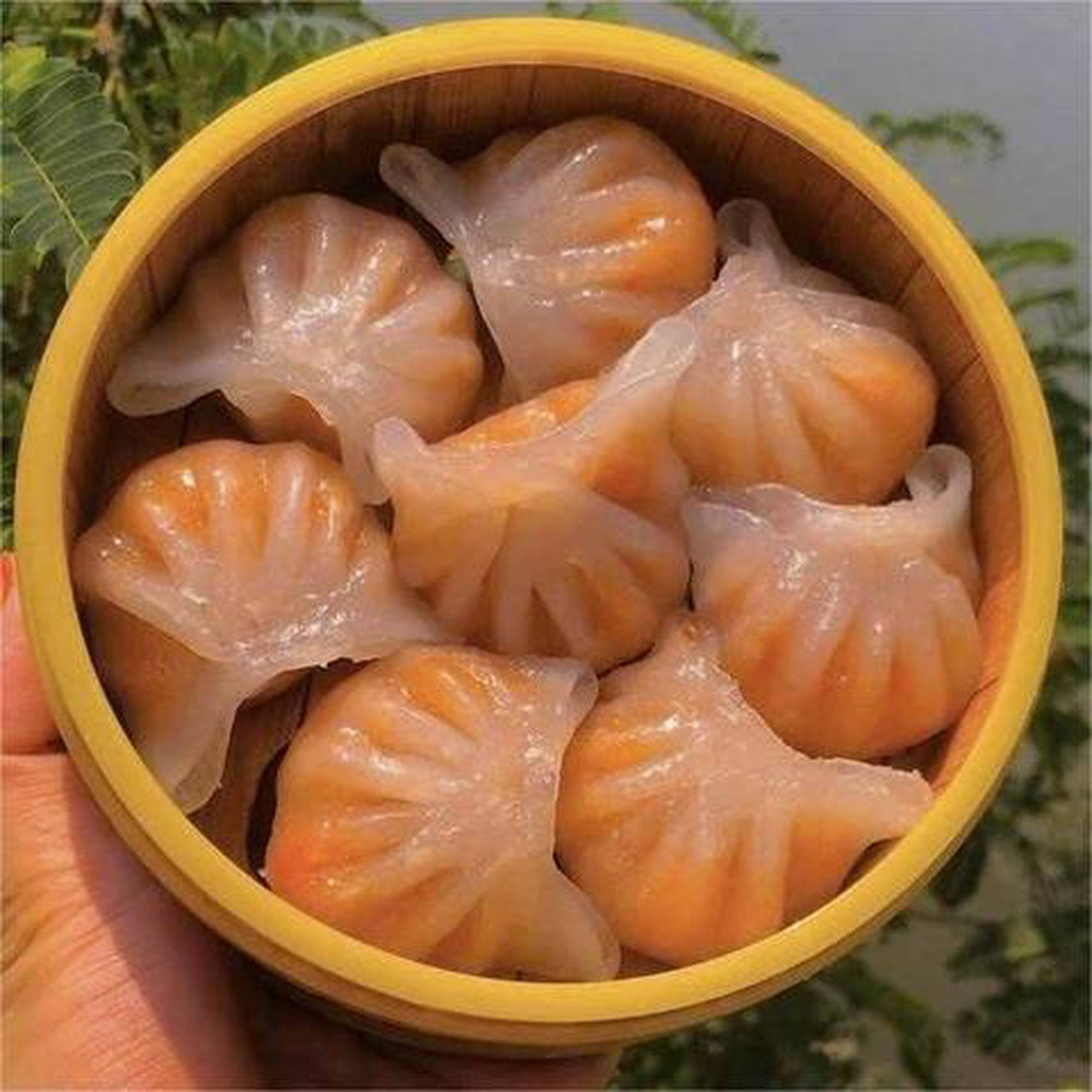 Hình ảnh Há Cảo Xíu Mại Ni Ni - Nguyễn Duy