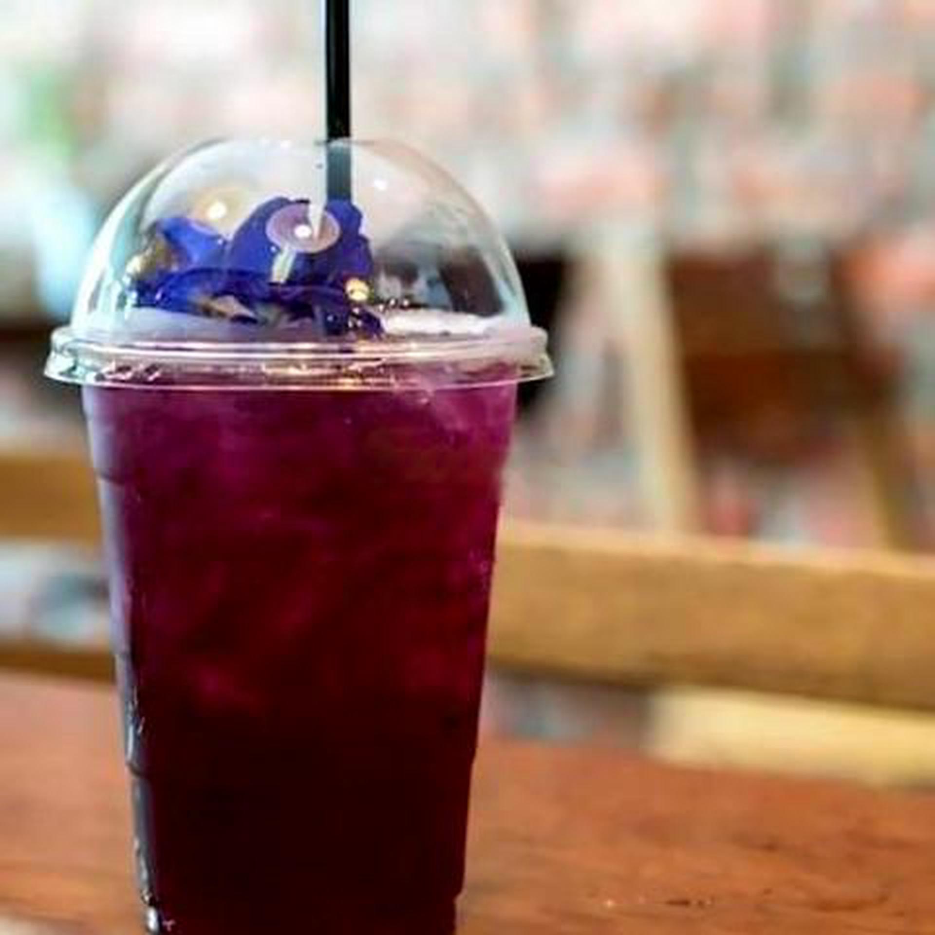 Hình ảnh Trà việt quất