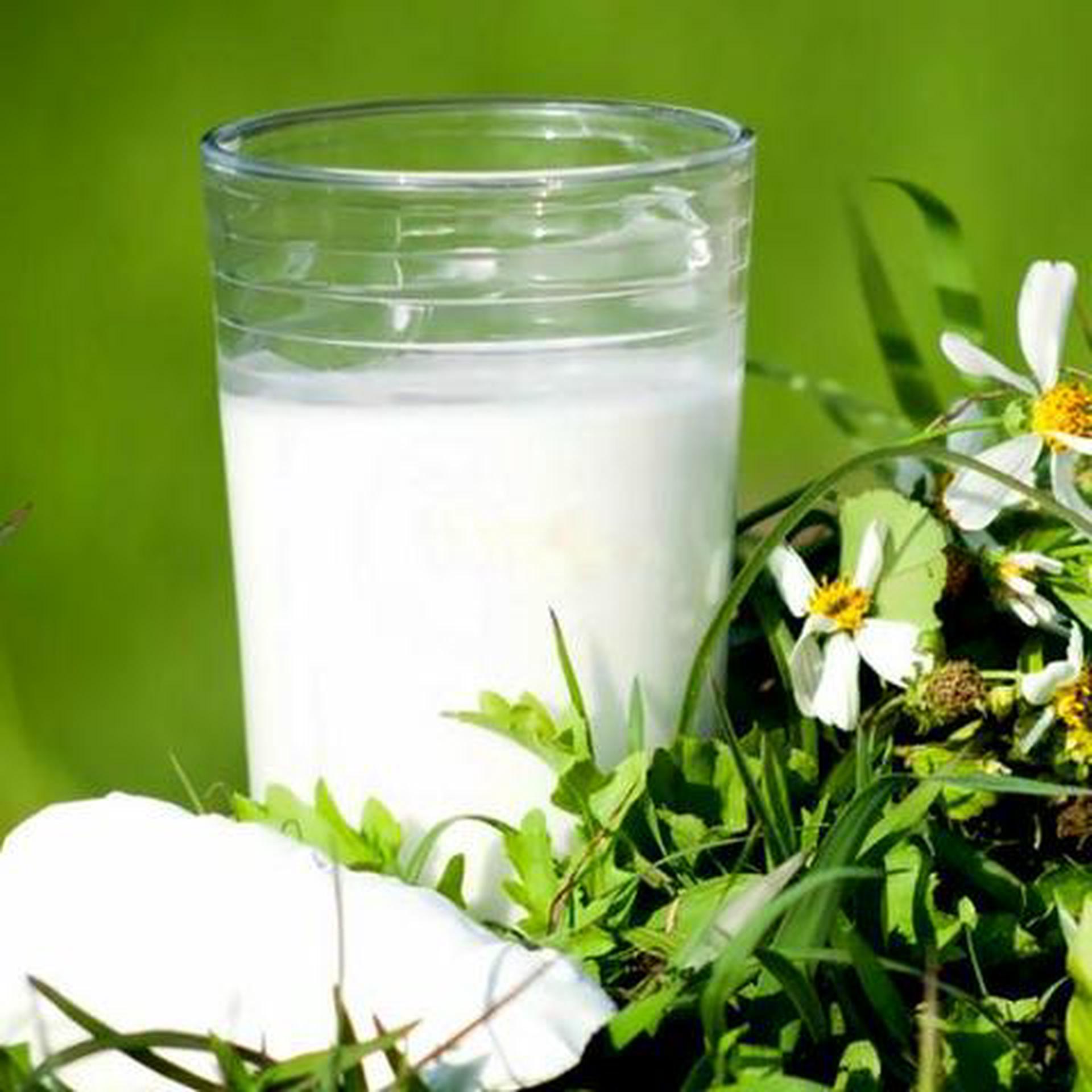Hình ảnh Bột Sắn Dây