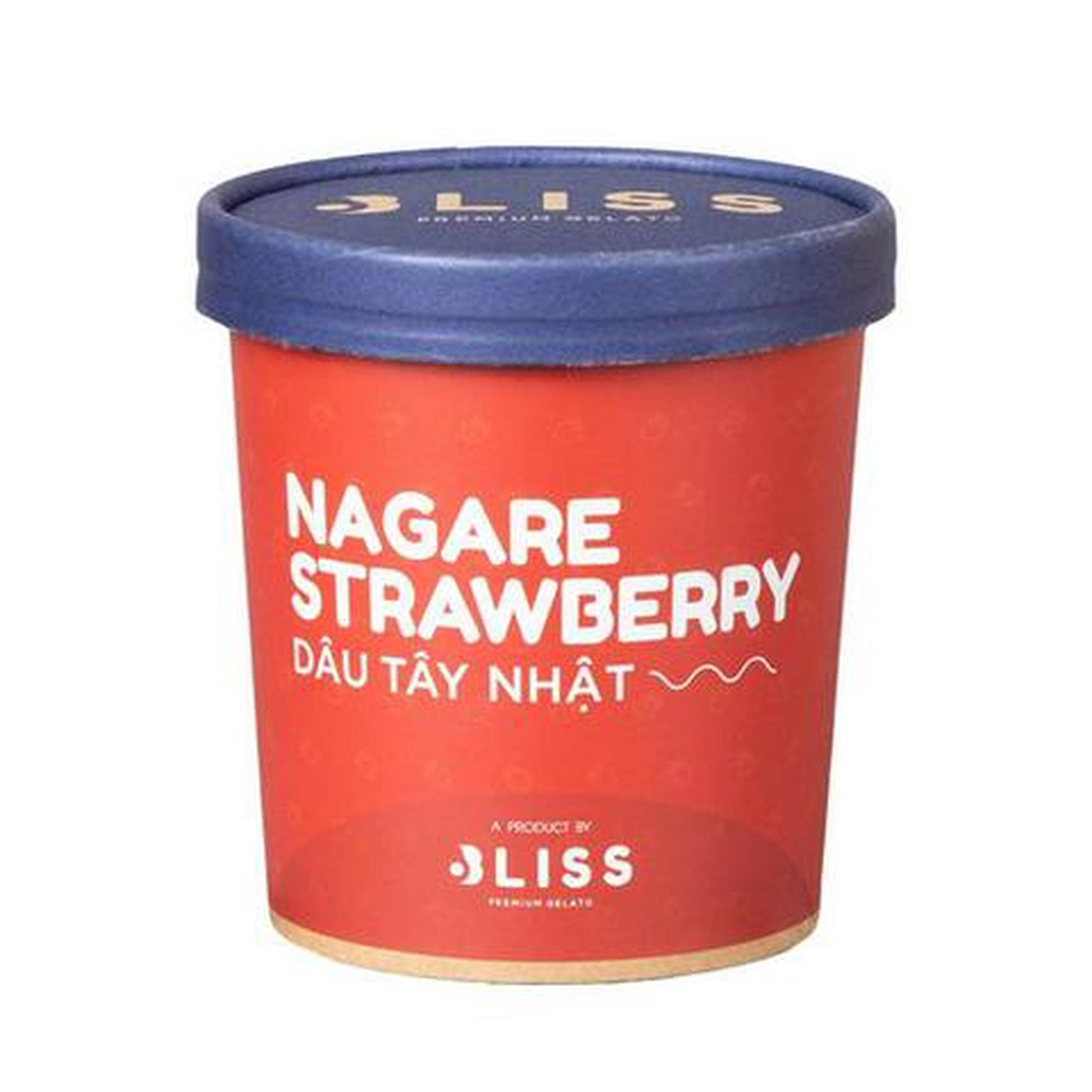 Hình ảnh Kem Dâu Tây Nhật 473ml Bliss Premium Gelato