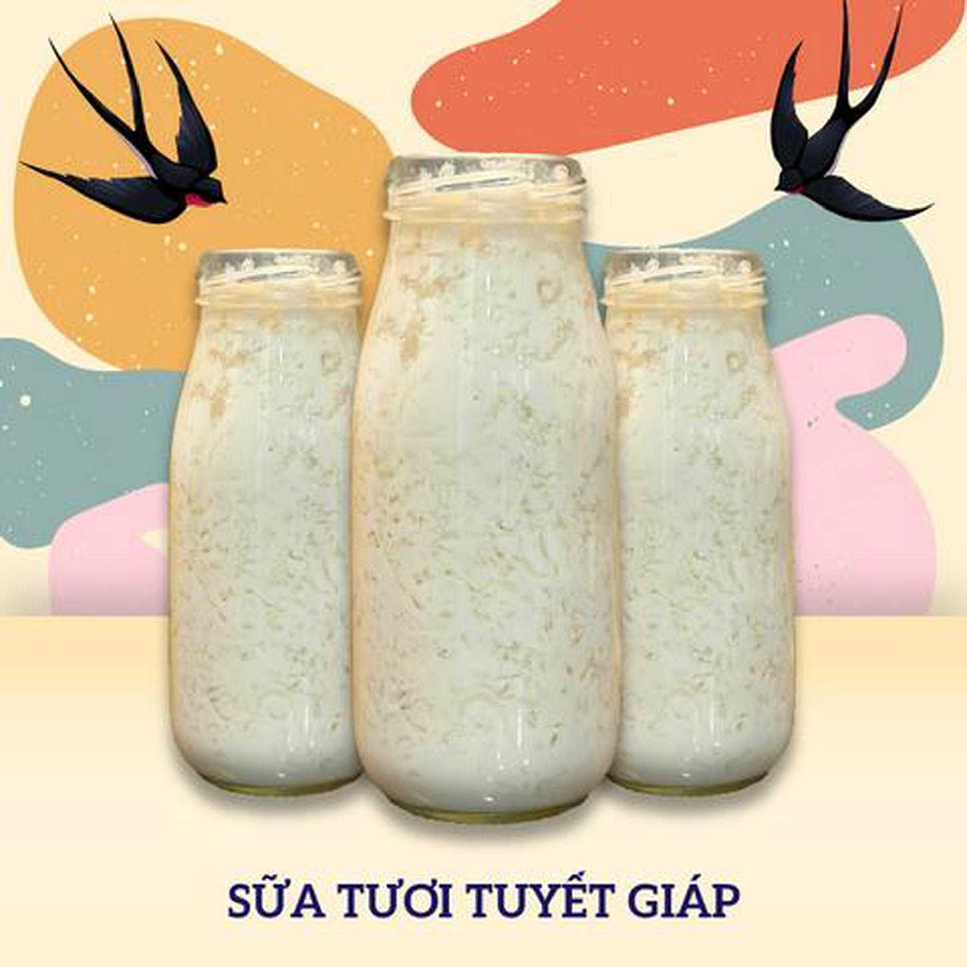 Hình ảnh Yến chưng sữa tươi tuyết giáp bạch quả