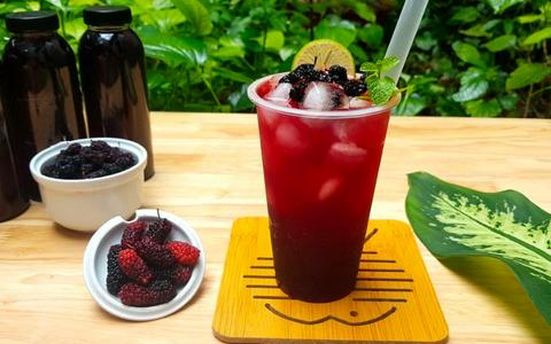 Hình ảnh trà dâu tằm 700ml