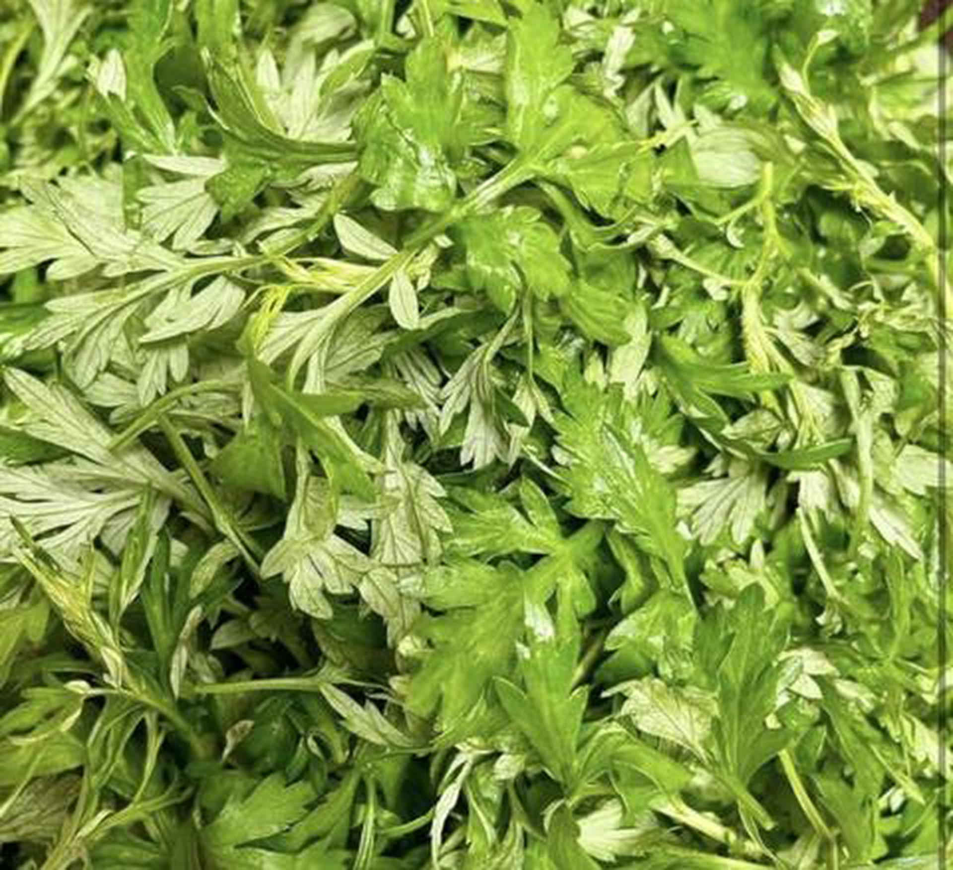 Hình ảnh Rau ngải cứu hầm