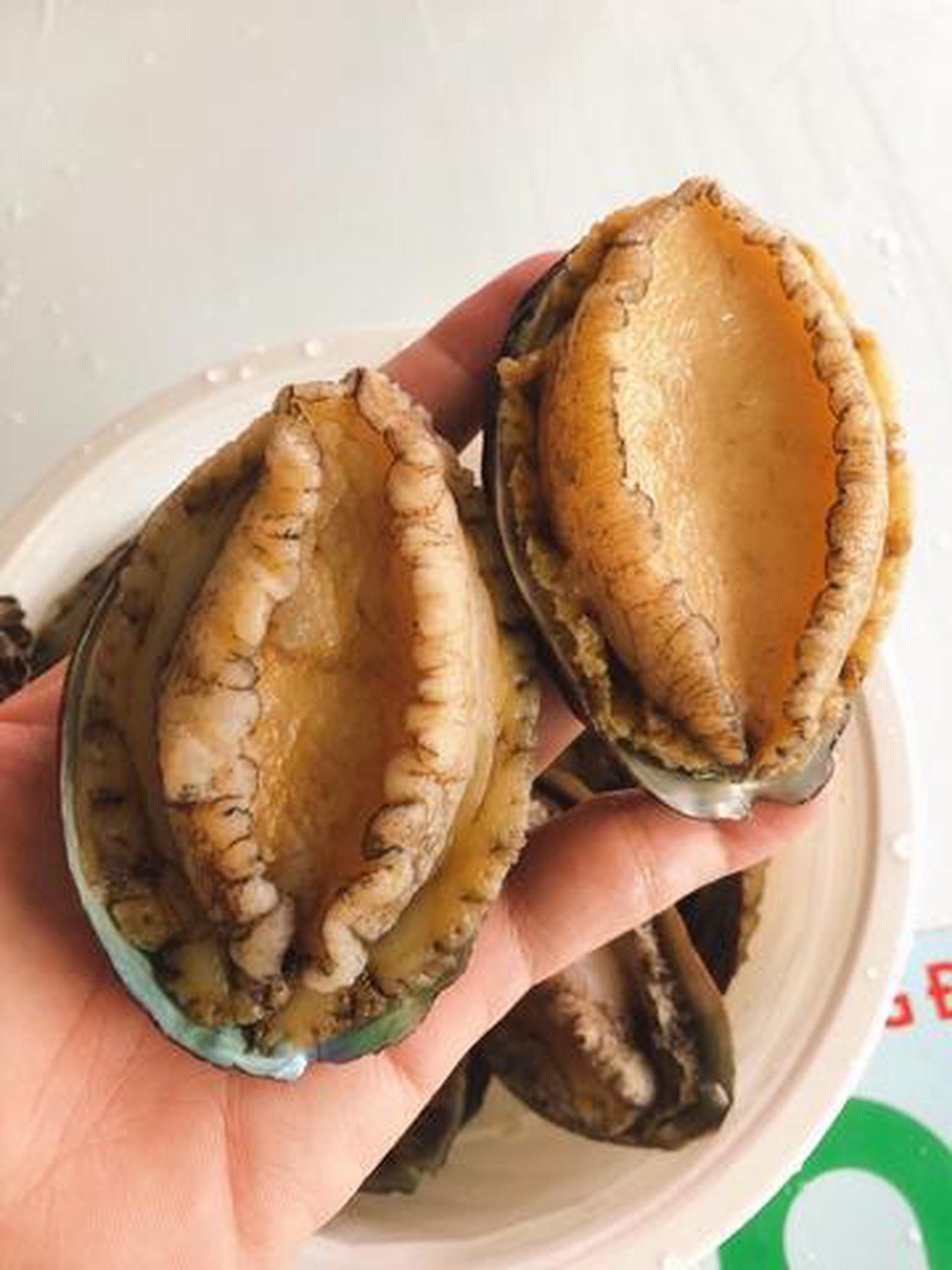 Hình ảnh Bào ngư Hàn Quốc size siêu to