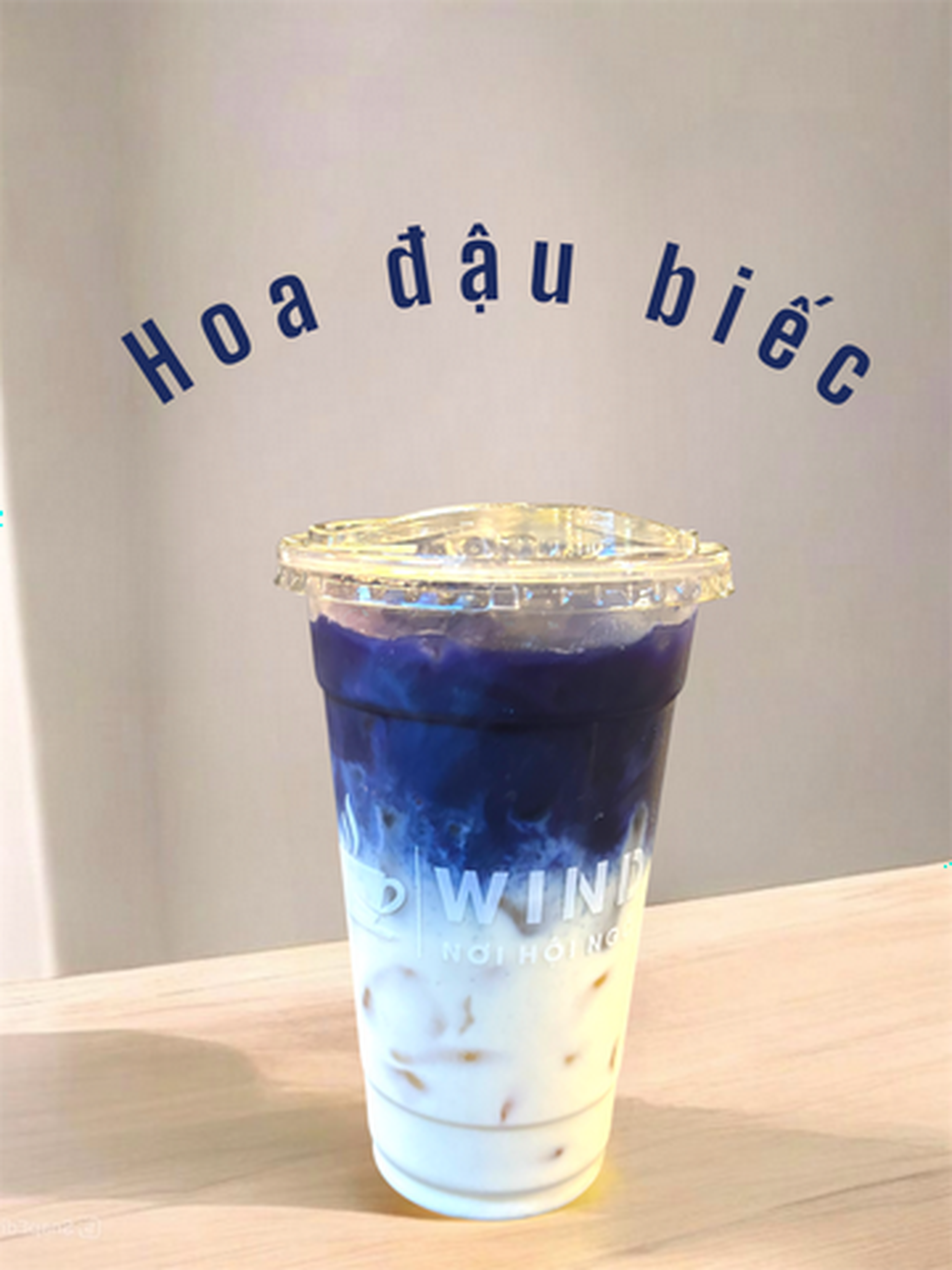 Hình ảnh Hoa đậu biếc - BEST SELLER
