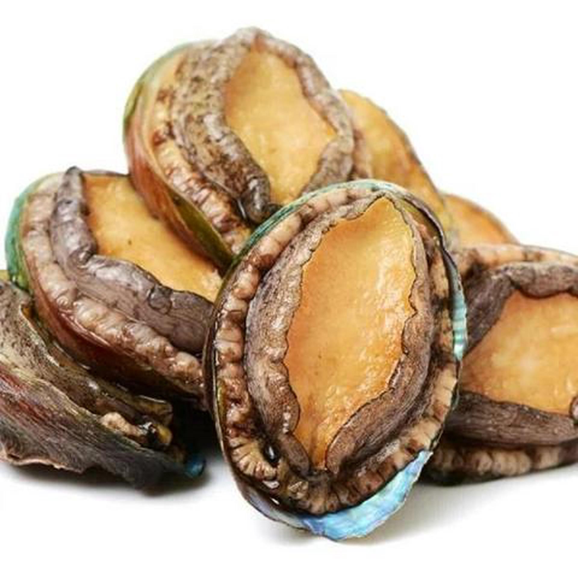 Hình ảnh Gà ác tần thuốc Bắc - bào ngư
