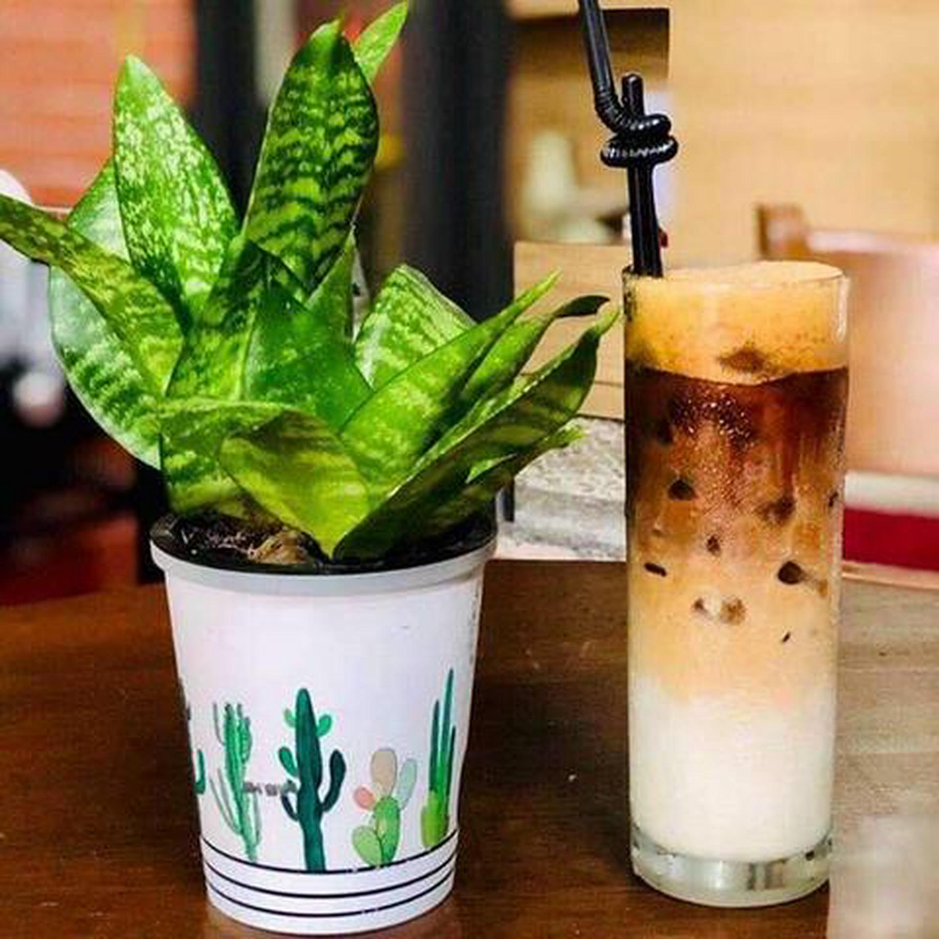 Hình ảnh Bạc xỉu