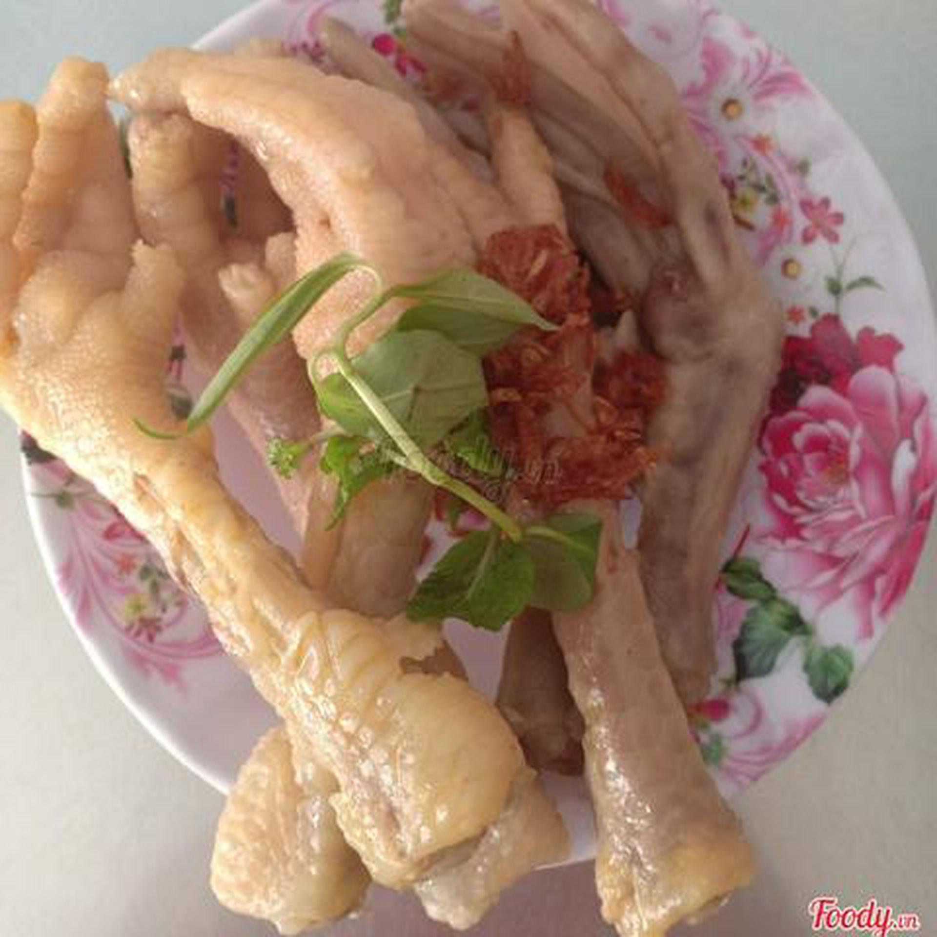 Hình ảnh Chân vịt