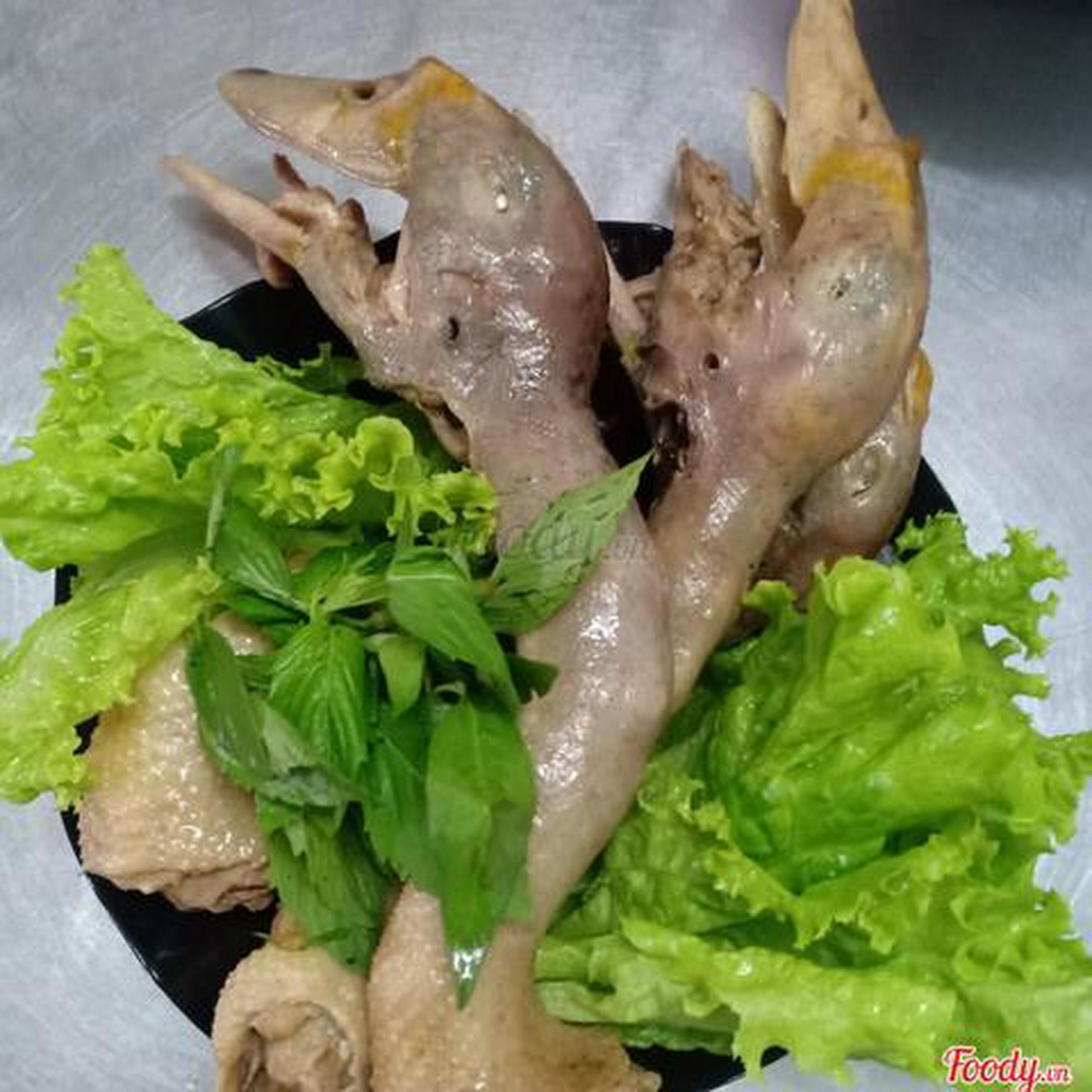 Hình ảnh Đầu Vịt Xiêm