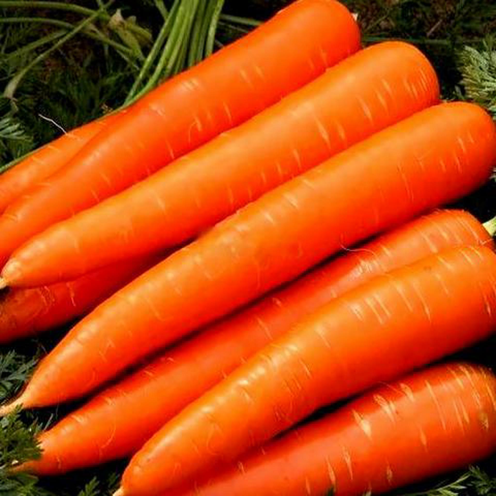 Hình ảnh Cà rốt - carrot