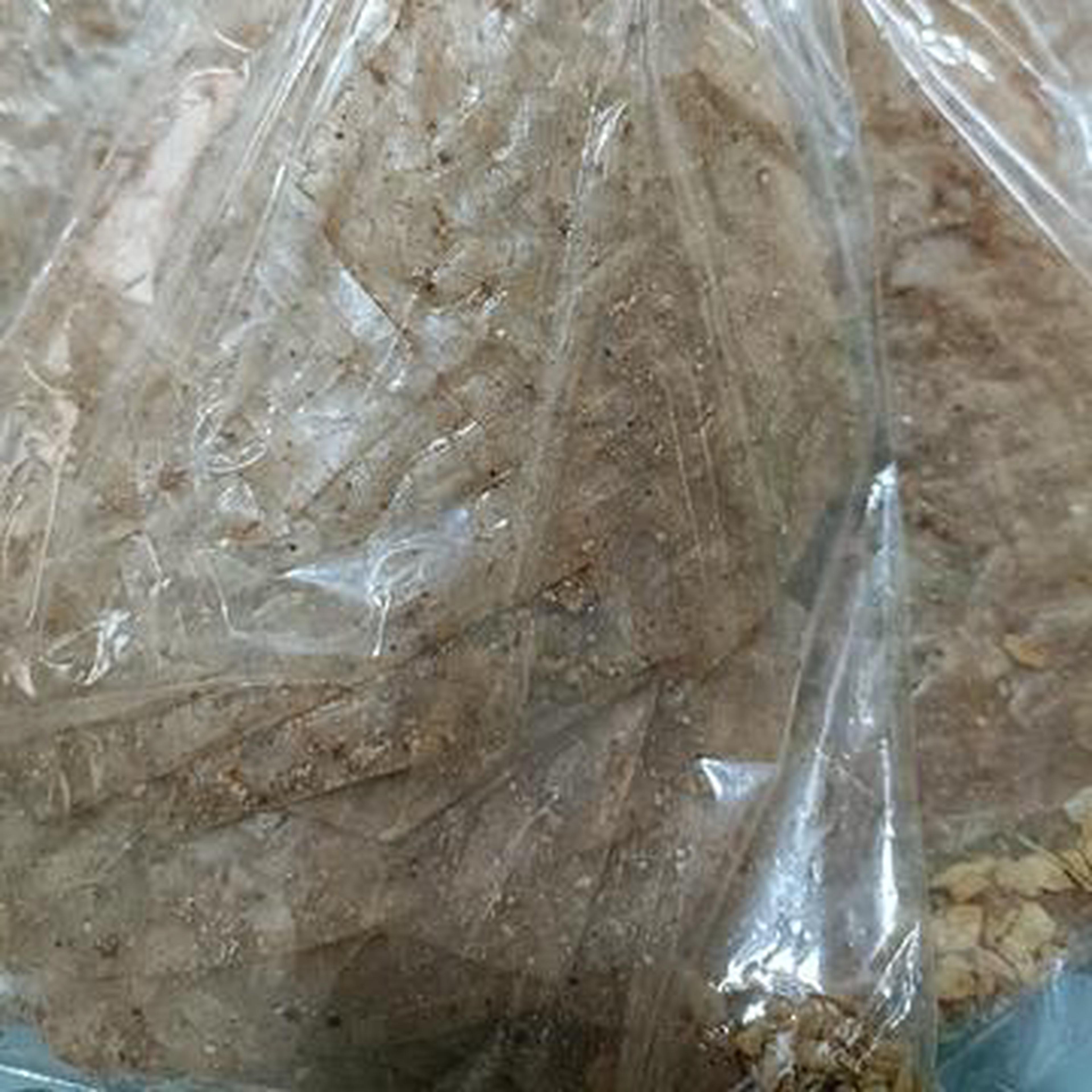 Hình ảnh bánh Trángxikekhô siêu cay