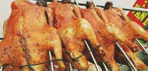 Hình ảnh Vịt Cỏ Hơn Mai - Phú Đô 