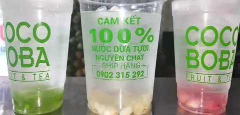 Hình ảnh Cocoboba - Nước Dừa Trân Châu Dừa - Nguyễn Phúc Nguyên