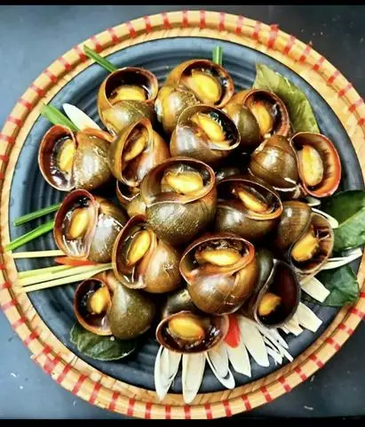 Hình ảnh Ốc Đêm Tây Sơn - Dương Văn Dương