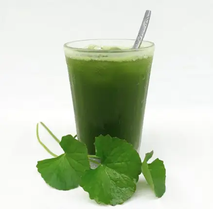 Hình ảnh Rau Má Mix & Nước Ép MeoMeo - Nguyên Hồng