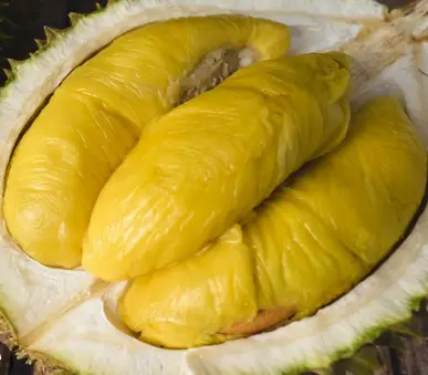 Hình ảnh Sầu Riêng Sạch 3 Bao - Trường Sa
