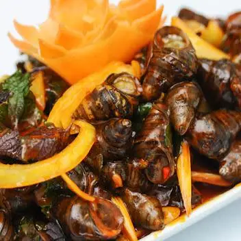 Hình ảnh Ốc Hút Đà Nẵng - Hương Vị Điện Phương - Bình Giã