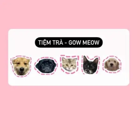 Hình ảnh Tiệm Trà - Gow Meow- Tân Hòa Đông