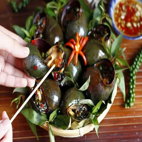 Hình ảnh Ốc An 3 - Tạ Quang Bửu