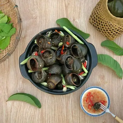 Hình ảnh Ốc Trúc Thư - Trung Mỹ Tây 2A