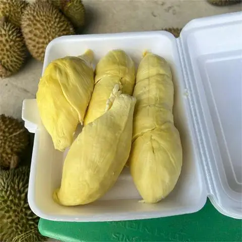 Hình ảnh Sầu Riêng Sạch Mochi - Tân Quý