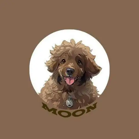 Hình ảnh Tiệm Trà Moon - Nguyễn Văn Bảo