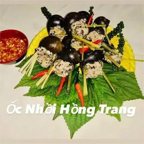 Hình ảnh Ốc Nhồi Hồng Trang - Hồ Thị Kỷ