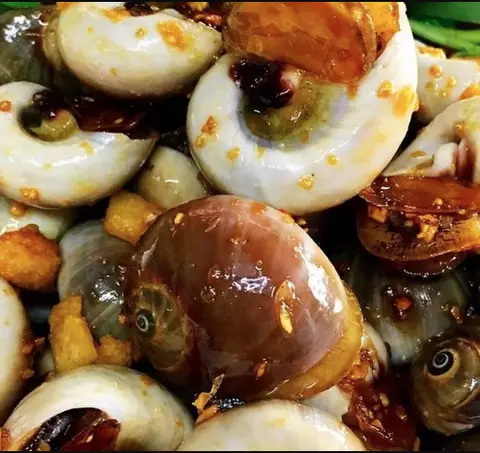 Hình ảnh Quán Ốc Tiêu - Tân Kỳ Tân Quý 