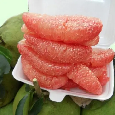 Hình ảnh Rau Câu Sơn Thủy & Trái Cây Trọng Chánh - Lê Tấn Bê