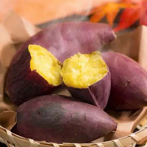Hình ảnh Philan Khoai Lang Hấp Củ Quả Luộc - Hiệp Thành 22
