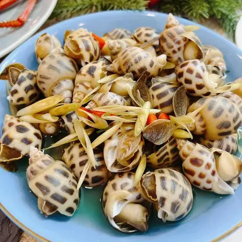 Hình ảnh Ốc Hoàng - Vũ Tùng