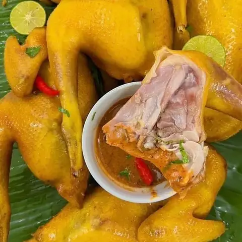 Hình ảnh Gà Hấp - Tiệm Nhà An - Lê Văn Thọ