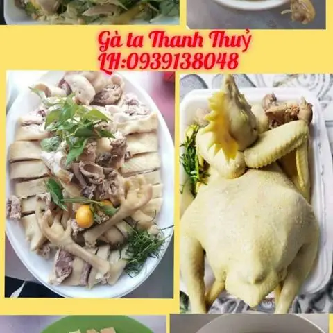 Hình ảnh Gà Ta Thanh Thuỷ - Huỳnh Tấn Phát