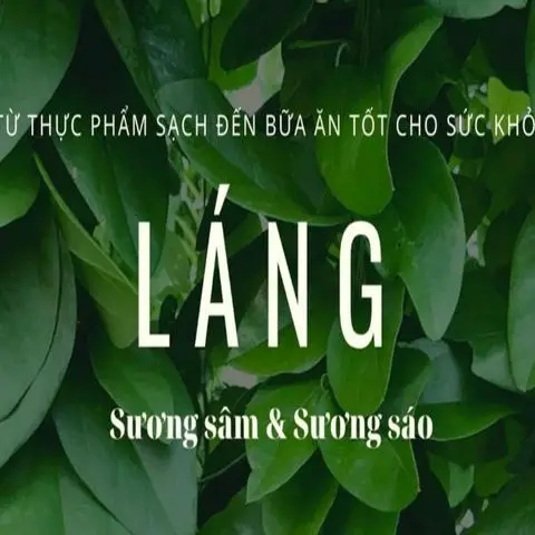 Hình ảnh Láng Sương Sâm - Sương Sáo - 267 Xóm Chiếu