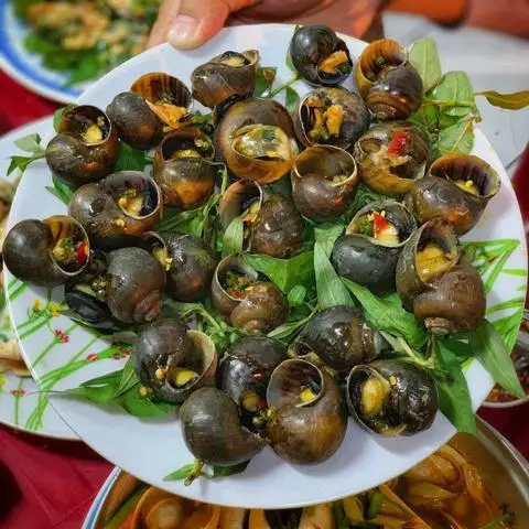 Hình ảnh Quán Ốc 52 - Lê Văn Khương