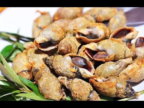 Hình ảnh Ốc Ngon - Kênh Tân Hóa 