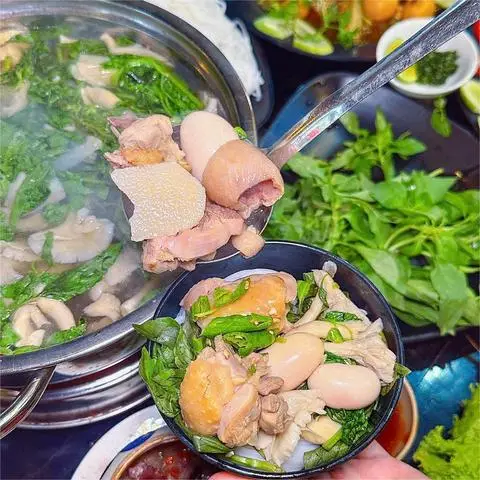 Hình ảnh Con Gà Trống - Lẩu Gà Lá É Phú Yên - Vĩnh Khánh