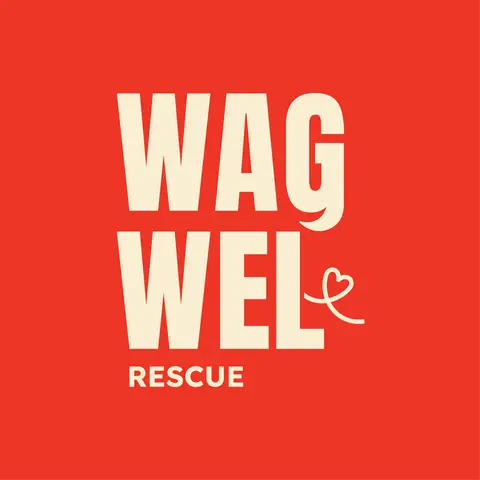 Hình ảnh WagWel Thảo Điền - Trần Ngọc Diện