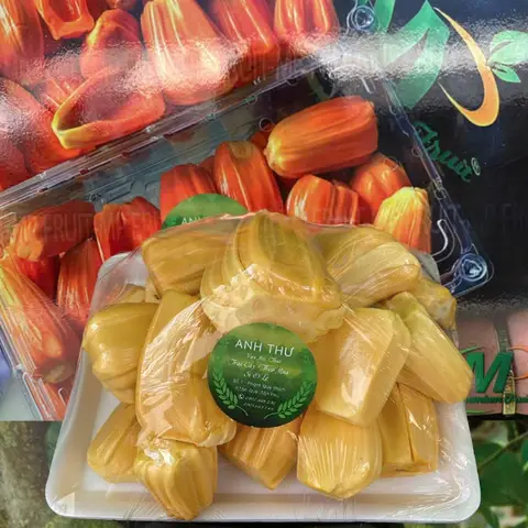 Hình ảnh Mít Thái Anh Thư - Phạm Quý Thích