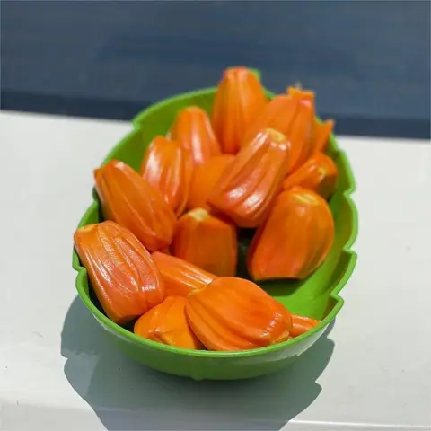 Hình ảnh Mít Ruột Đỏ - Nước Uống Sức Khỏe & Trái Cây Sắt Sẵn - Nguyễn Thái Bình