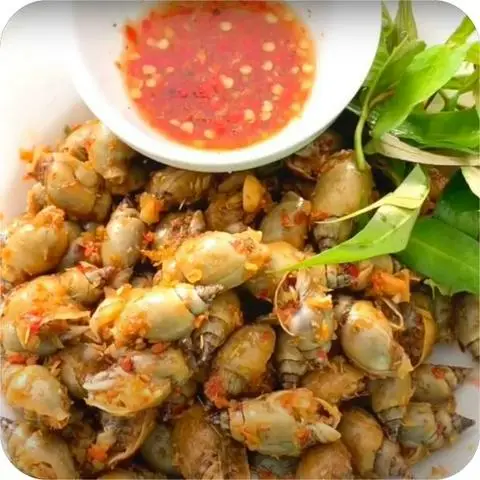 Hình ảnh Ốc Bà Béo - Nơ Trang Long