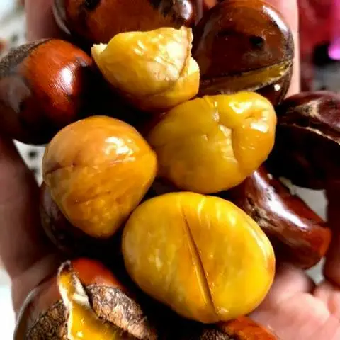 Hình ảnh Hạt Dẻ Kasa - Đường Số 2