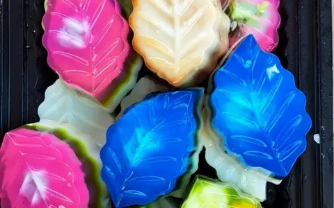 Hình ảnh Rau Câu Lan Anh - Lê Văn Lương 