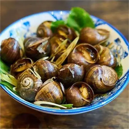 Hình ảnh Ốc 88 - Đường Số 1