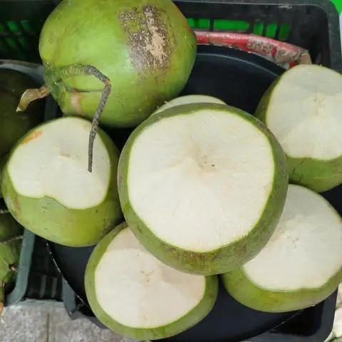 Hình ảnh Dừa Xiêm - Mía Đá - Lê Thanh Nghị