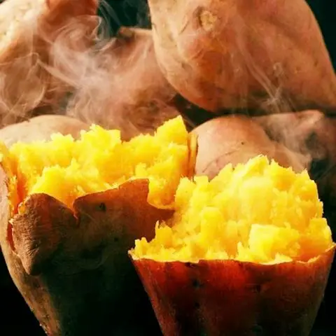 Hình ảnh Khoai Mì Hấp Nước Cốt Dừa & Sữa Bắp - Nguyễn Thế Truyện