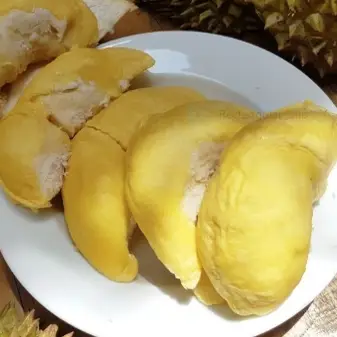 Hình ảnh Sầu Riêng Miền Tây - Song Hành