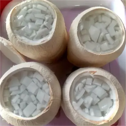 Hình ảnh Rau Câu Trái Dừa Miền Tây - Tô Hiệu